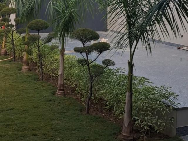 Flat for sale in Deri