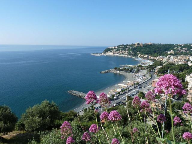 Locale Commerciale in vendita a Borghetto, Arenzano