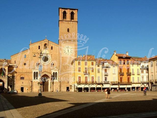 Locale Commerciale in vendita a Revellino, Lodi