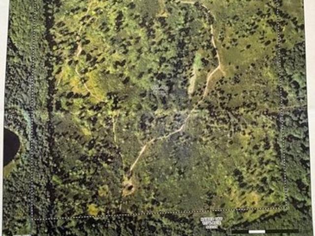 Land for sale in Lincoln, Michigan
