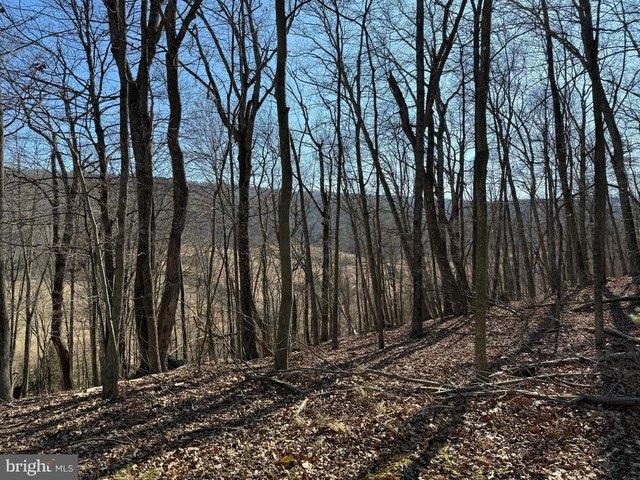 Land for sale in Capon Bridge, West Virginia