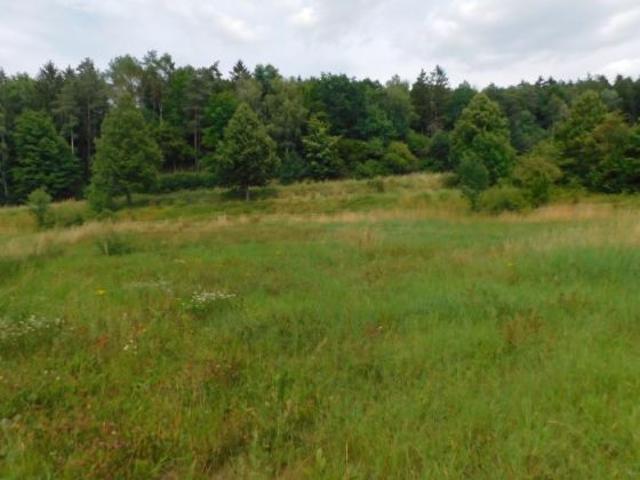 Erdgeschosswohnung kaufen in Rittersdorf, Rheinland-Pfalz