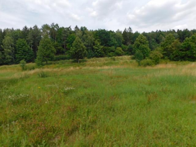 Landwirtschaft kaufen in Heldhof, Brecht