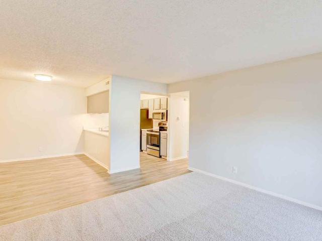 Apartment for rent in Lakewood