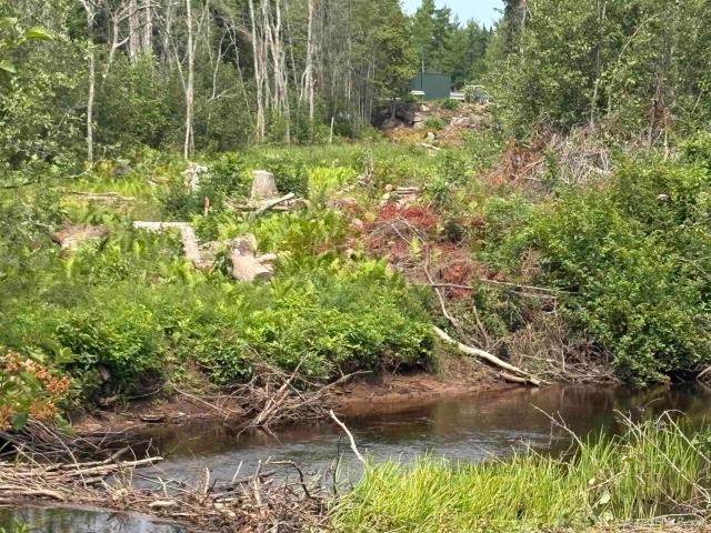 Land for sale in Deerton, Michigan