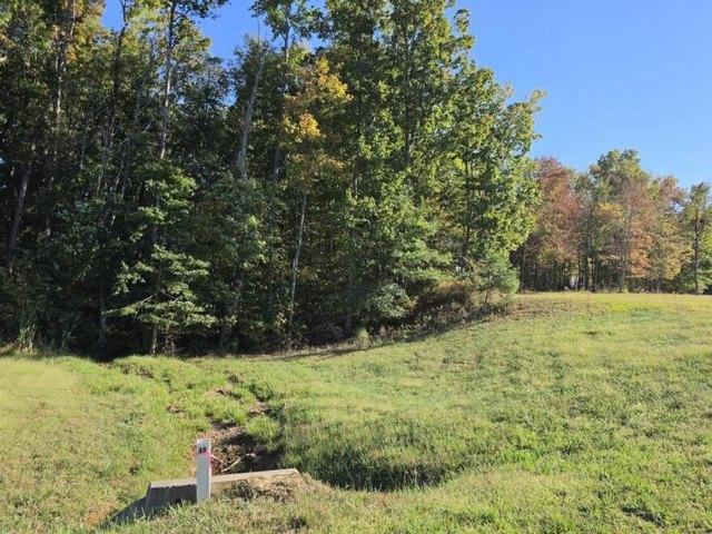 Land for sale in Jasper, East Tennessee