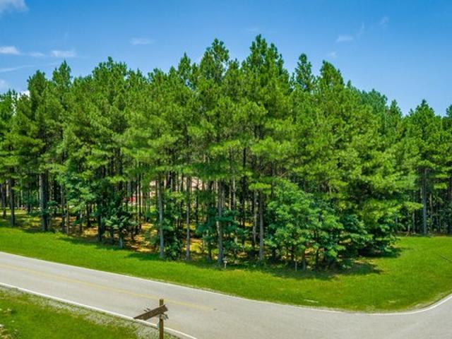 Land for sale in Tennessee