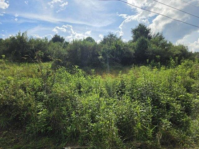 Land for sale in Virginia