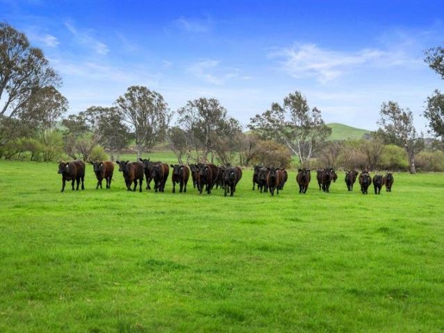 Cottage for sale in Yea, Victoria