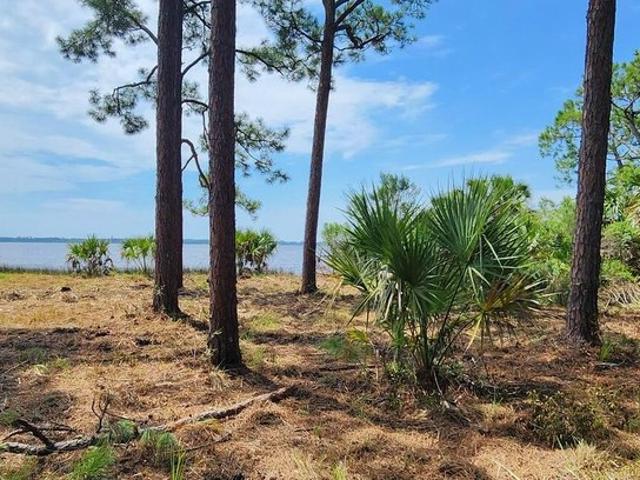 Land for sale in Panacea, Florida