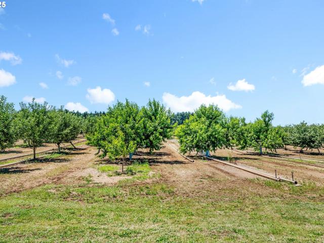 Land for sale in Creswell, Oregon