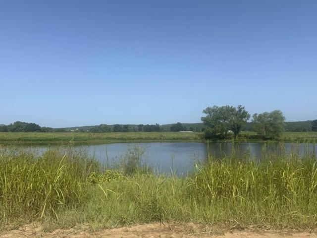 Land for sale in Ark