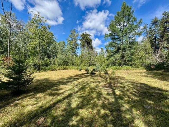 Land for sale in Roseau, Minnesota