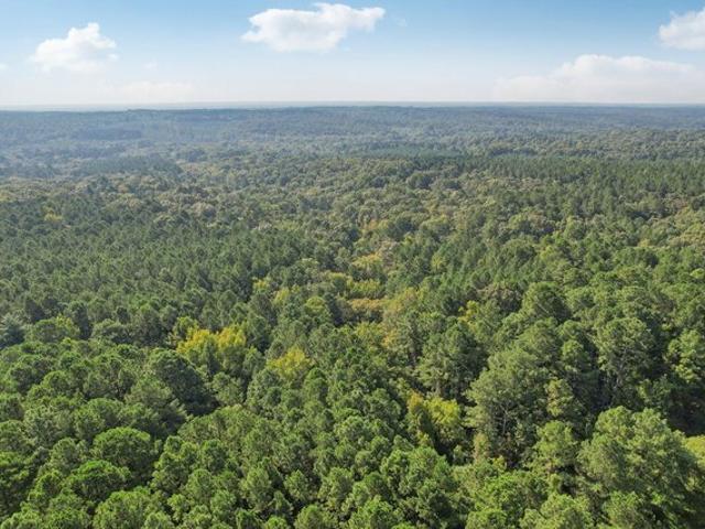 Land for sale in Chatham, North Carolina
