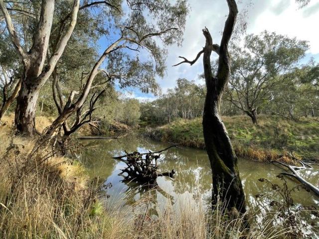 Cottage for sale in Dartmoor, Victoria