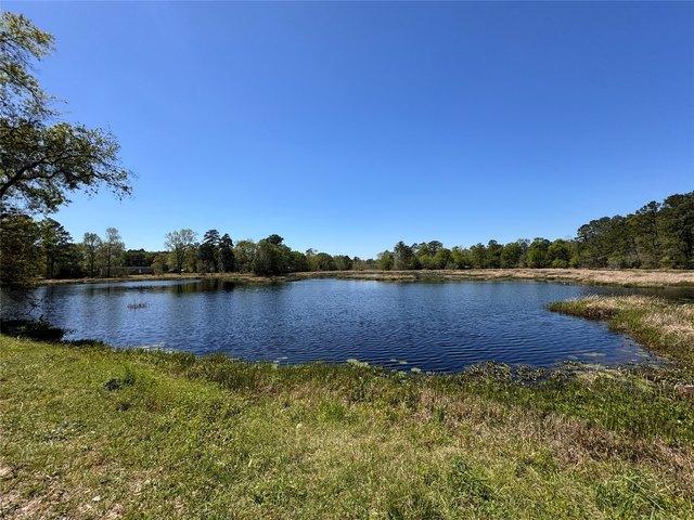 Land for sale in Shepherd, San Jacinto County