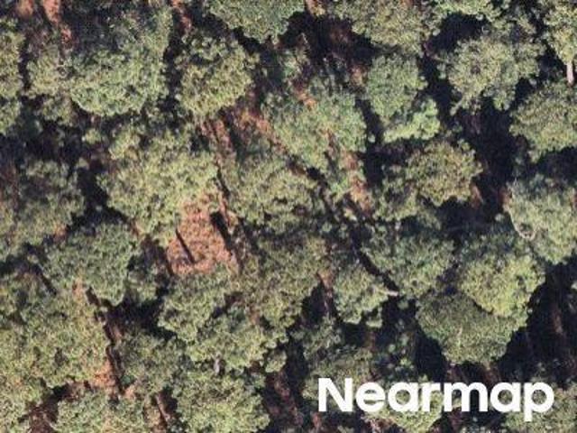 Land for sale in South Carolina