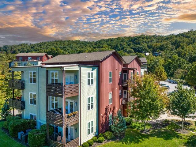 Apartment for rent in Asheville, North Carolina