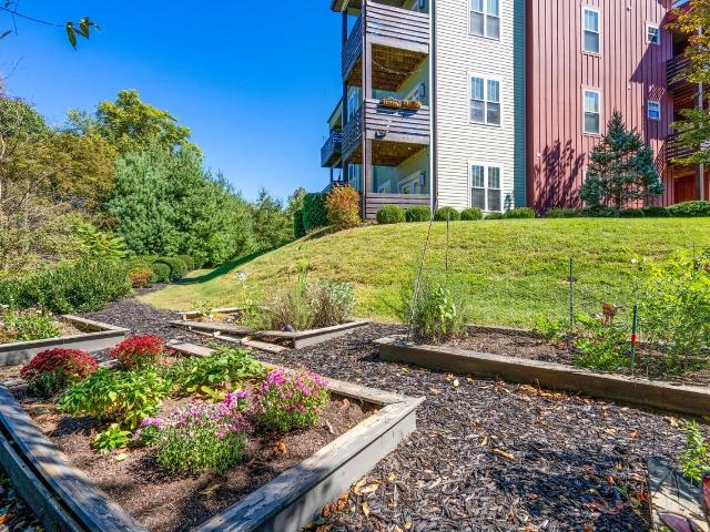 Apartment for rent in Asheville, North Carolina