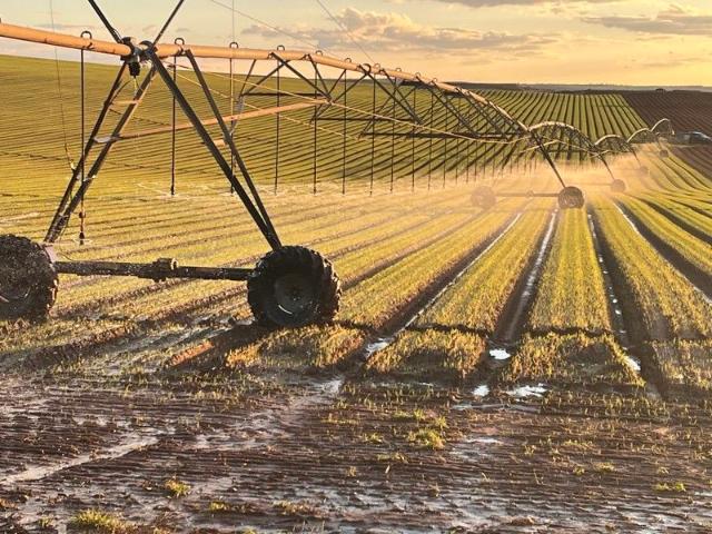 Property for sale in Bowhill, South Australia