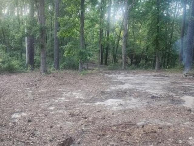 Land for sale in Hemphill