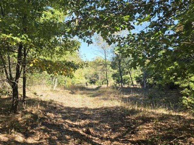 Land for sale in Hersey, Osceola County