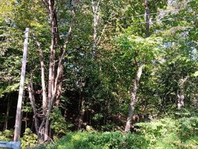 House for sale in Mount Bethel, Pennsylvania