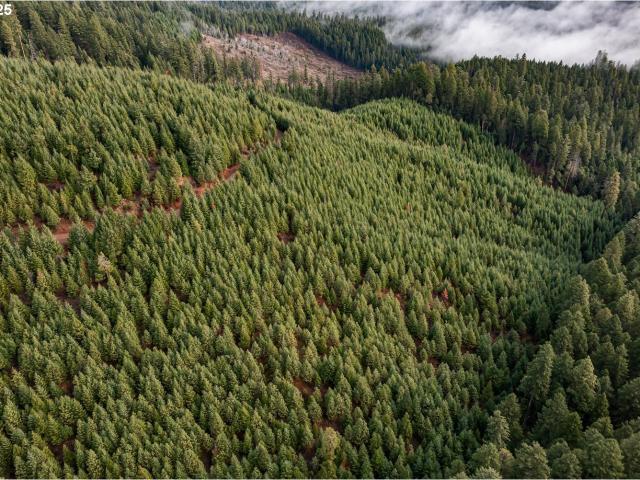Land for sale in Oregonia