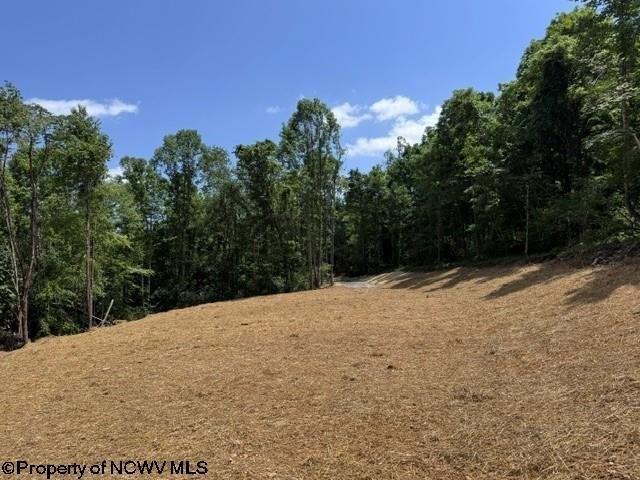 Land for sale in Junior, West Virginia