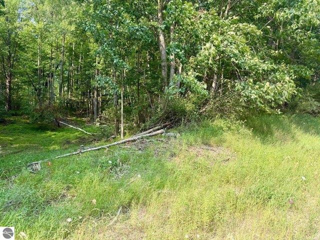 Land for sale in Isabella, Michigan