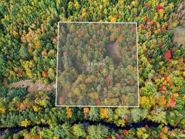 Land for sale in North Buckfield, Buckfield