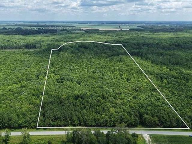 Land for sale in Camden, North Carolina