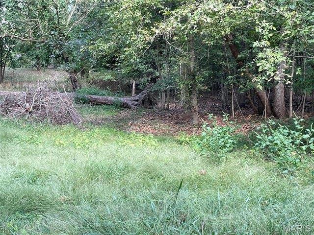 Land for sale in Piedmont, Wayne County