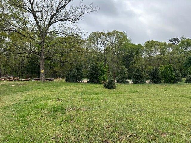 Land for sale in Piedmont