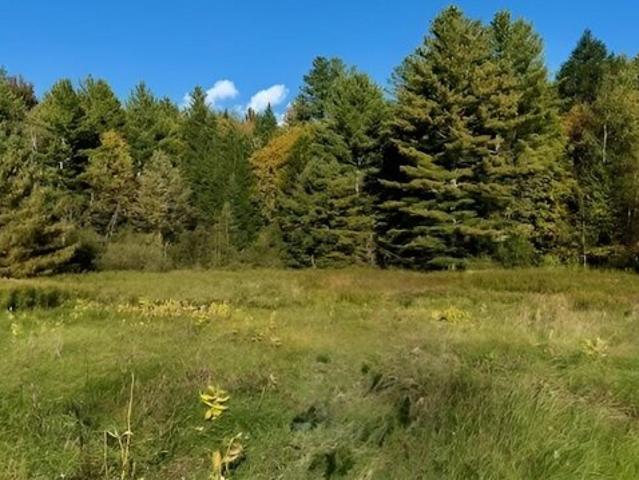 Land for sale in Troy, Vermont