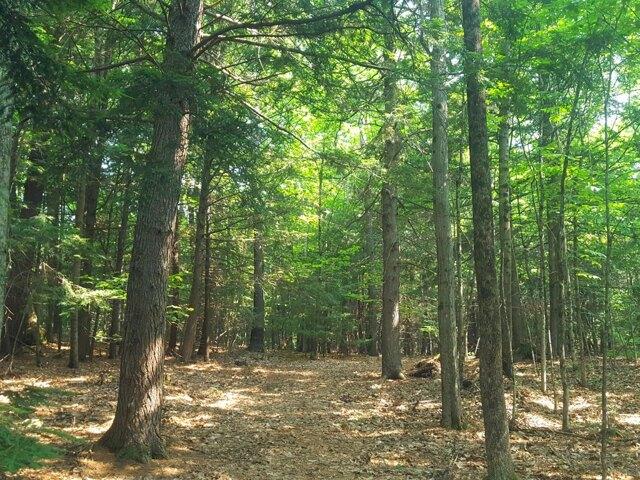 Land for sale in Windham, Maine