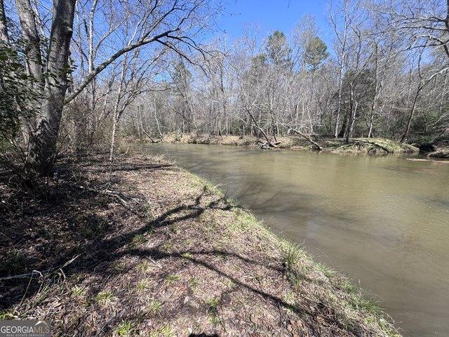 Land for sale in Carnesville, Georgia