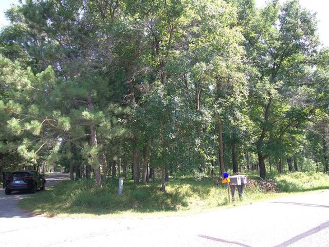Land for sale in Todd, Minnesota
