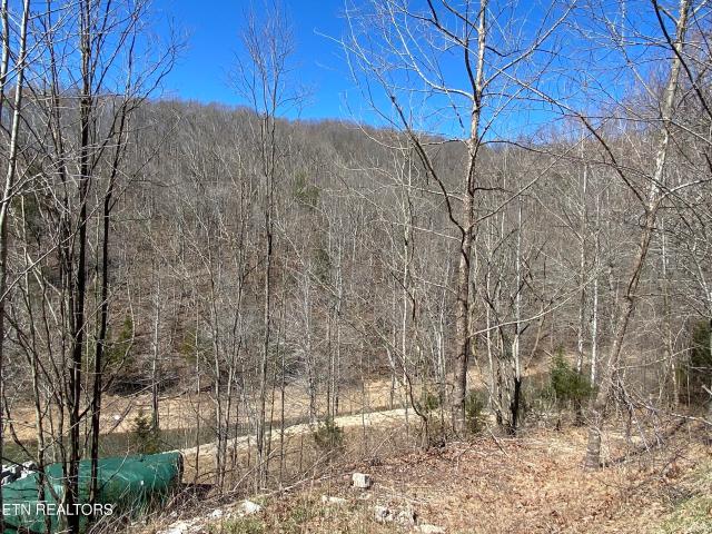 Land for sale in Tennessee