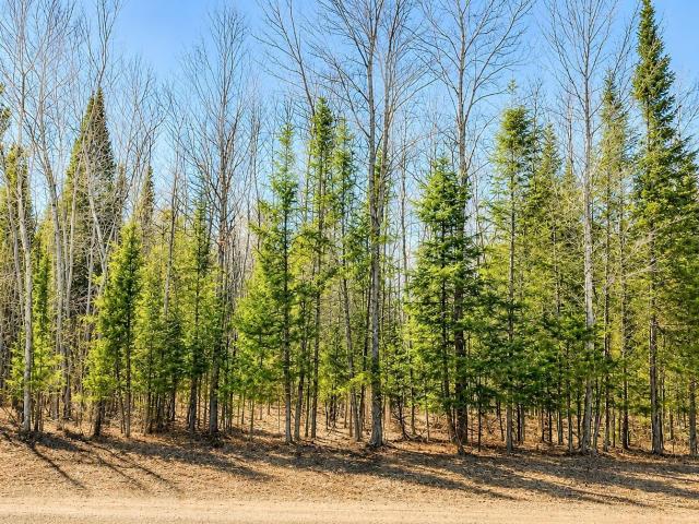 Land for sale in Paradise, Michigan