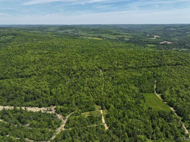 Land for sale in Belmont, New York