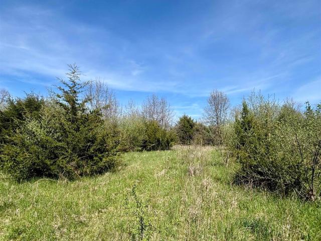 Land for sale in Mount Pleasant, Iowa