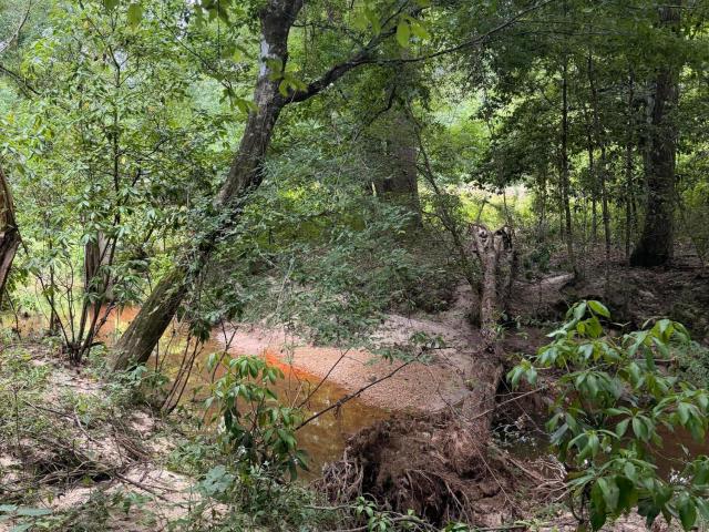 Land for sale in Liberty, Mississippi