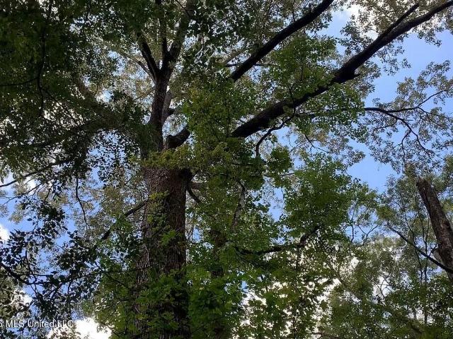 Land for sale in Mississippi