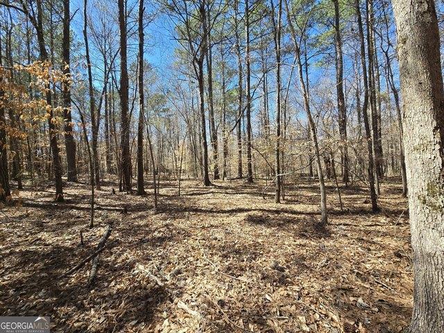Land for sale in Covington, Newton County