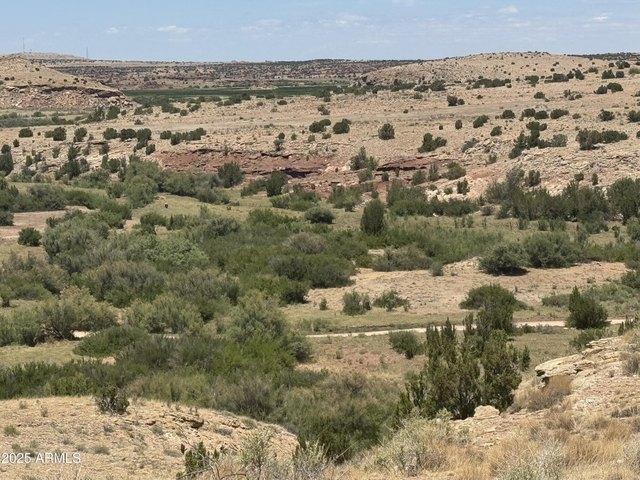 Land for sale in Arizona