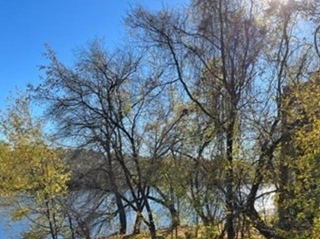 Land for sale in Haverhill Land for sale in Haverhill
