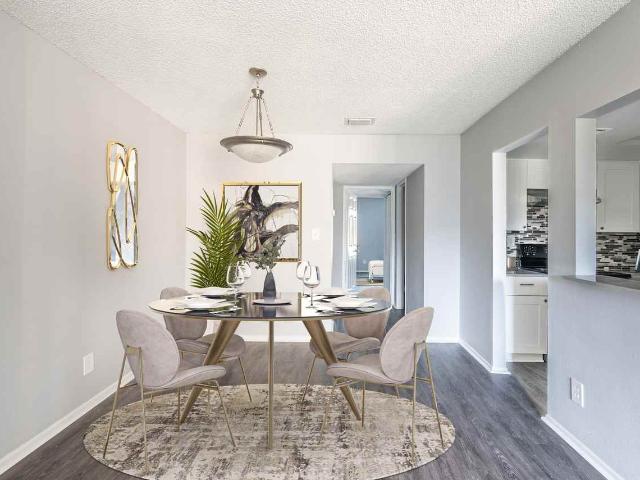 Apartment for rent in Tampa, Florida