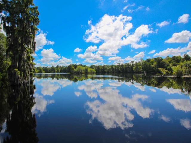 Apartment for rent in Tampa, Florida