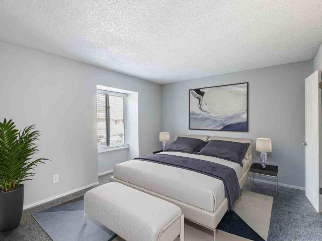 Apartment for rent in Tampa, Florida